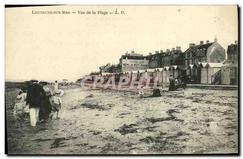 CPA Langrune Sur Mer Vue De la Plage