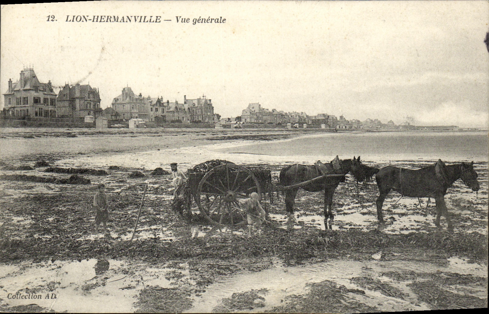 CPA Lion Hermanville Vue Generale Cheval bonne animation 