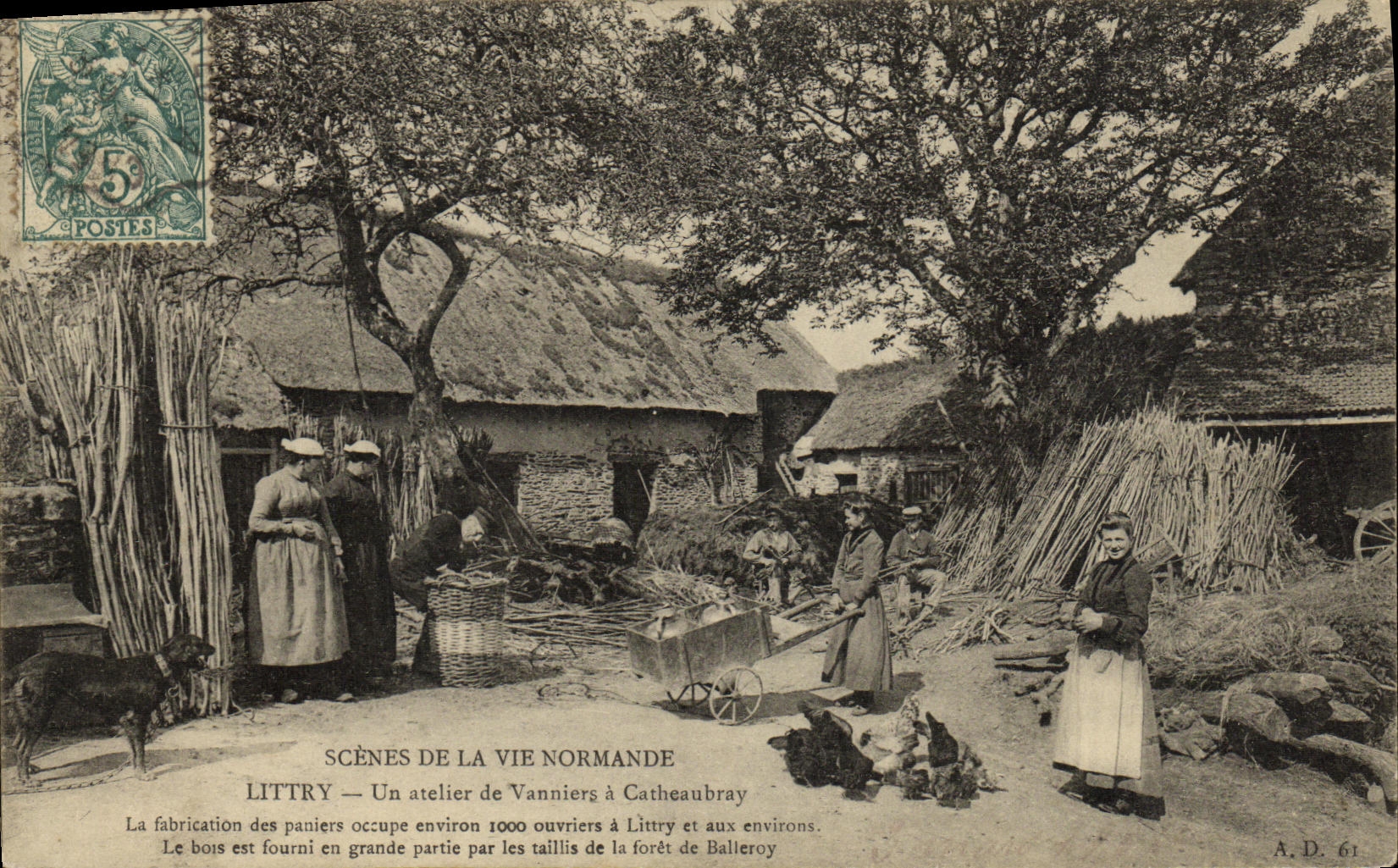 Littry — Un atelier de vanniers à Catheaubray — A.D. 61