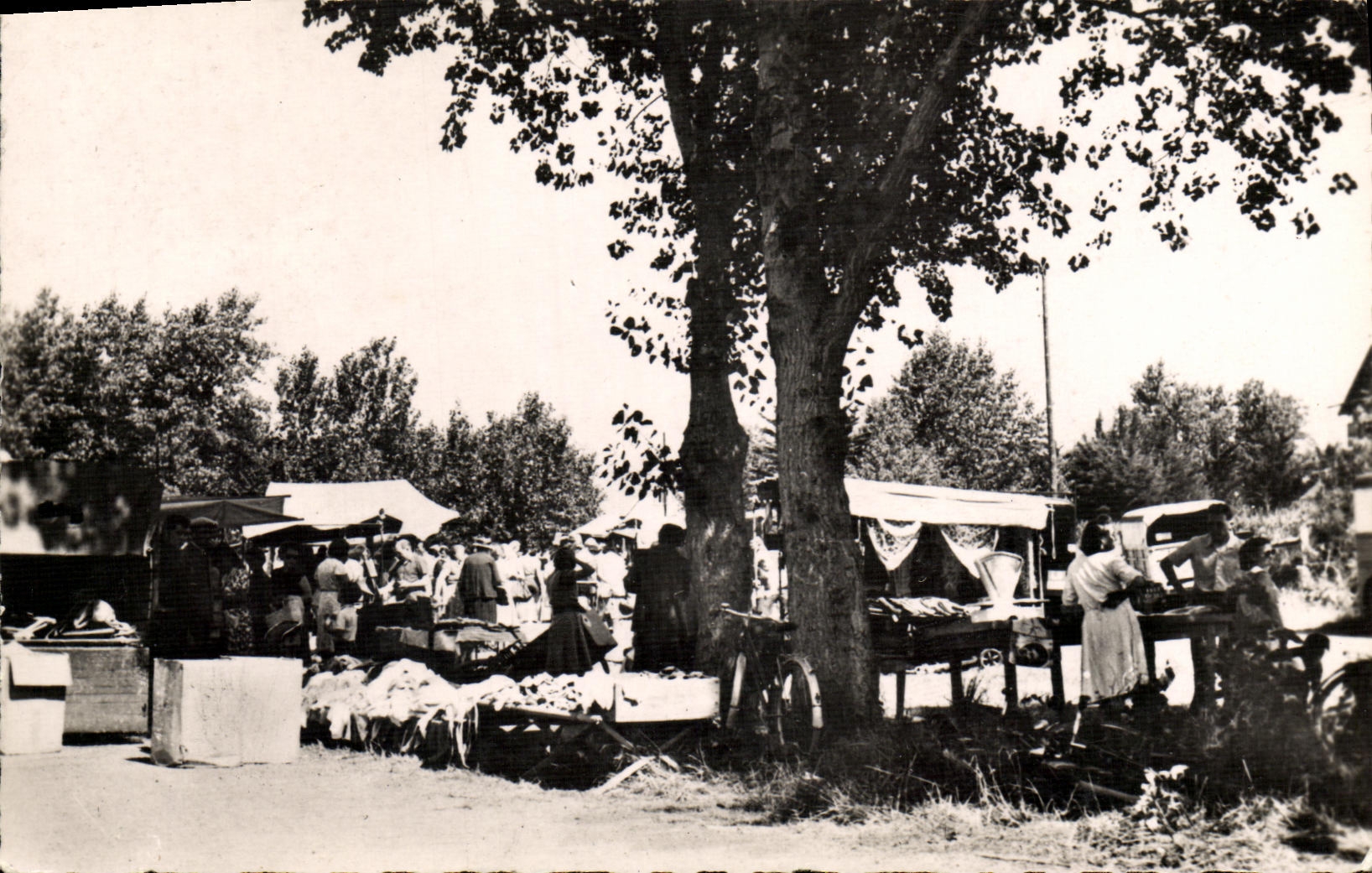 Merville-Franceville — Le Marché — Edit. La Flèche