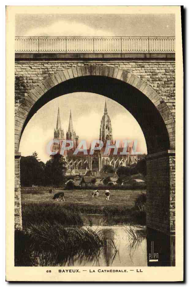 CPA Bayeux La Cathedrale Vaches 