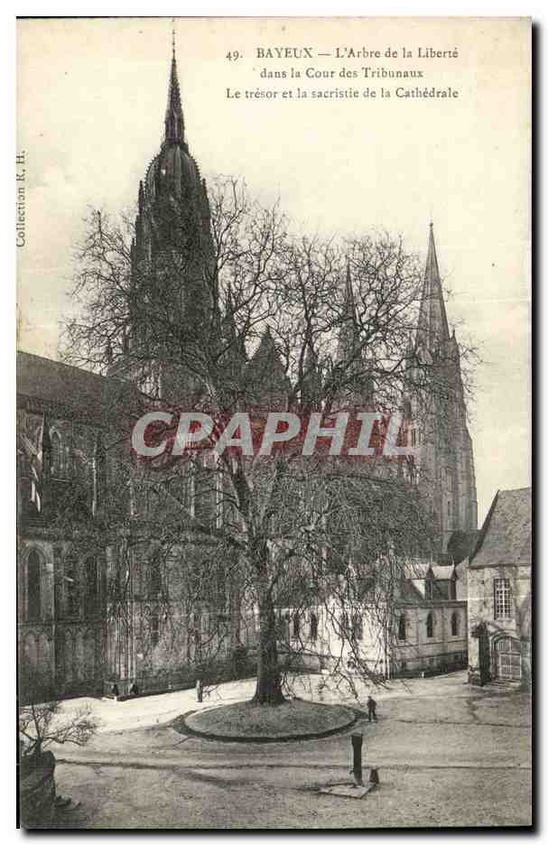CPA Bayeux L Arbre de la Liberte dans la Cour des Tribunaux