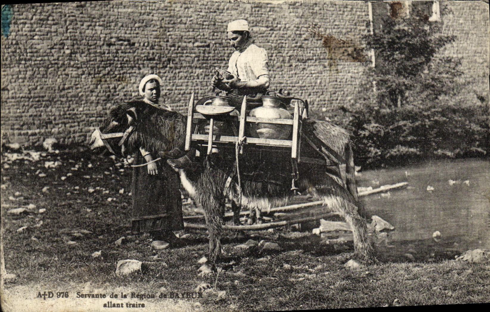 CPA Bayeux Servante des Environs de Bayeux allant traire Ane Mule