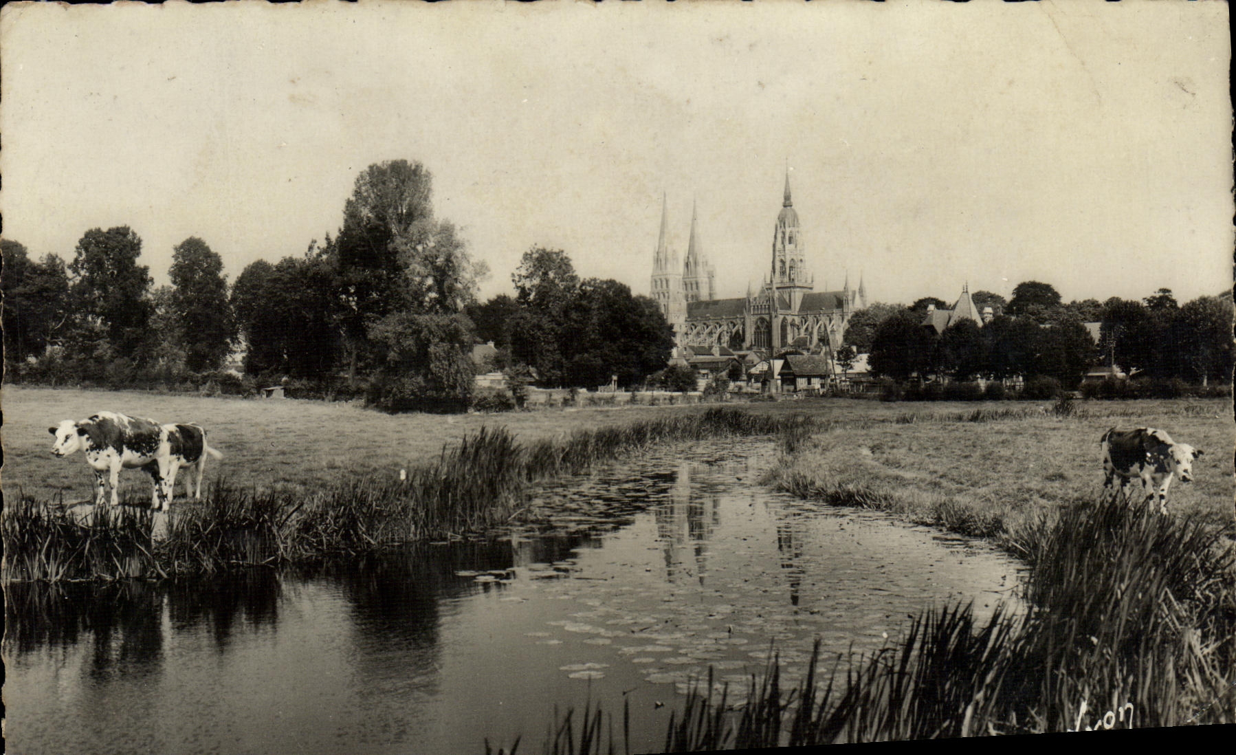 Moderne Ansichtskarte Bayeux Die Aure und die Kathedrale Vache