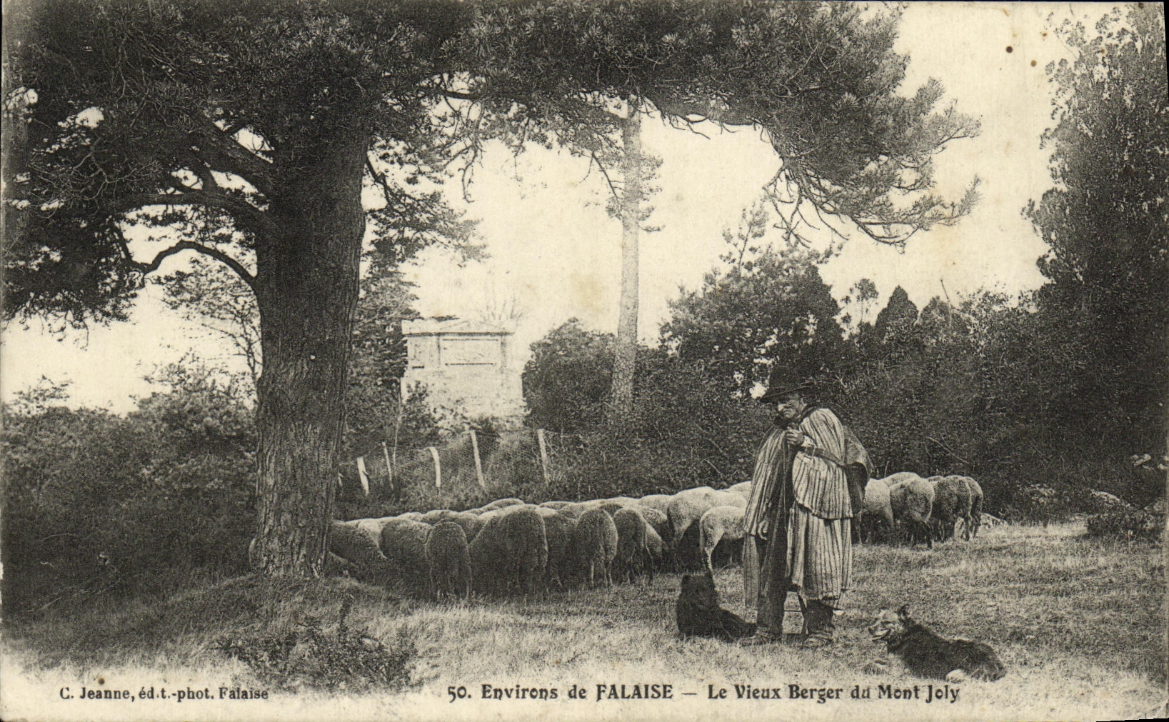 Environs de FALAISE — Le Vieux Berger du Mont Joly — C. Jeanne, éd.t.-phot. Falaise, n°50