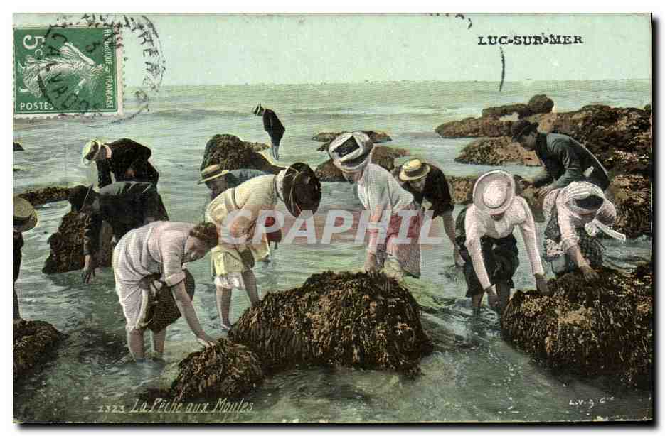 CPA Luc Sur Mer La peche aux moules
