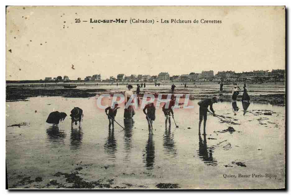 CPA Luc Sur Mer Sur Las Pecheurs de Crevettes