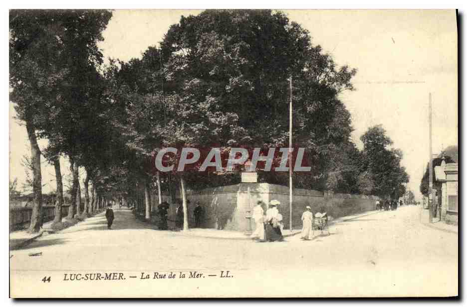 CPA Luc Sur Mer La Rue de la Mer