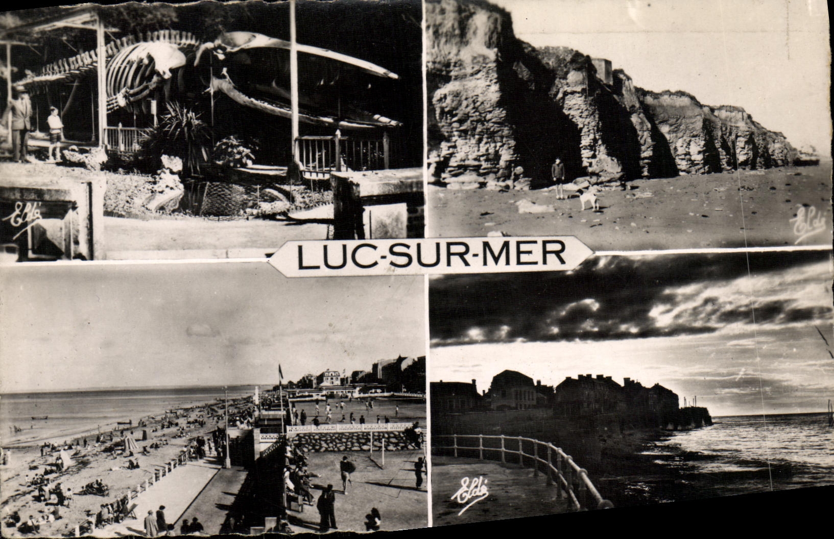 Luc-sur-Mer — vue de la plage, falaises et squelette de baleine — Édition Eldé