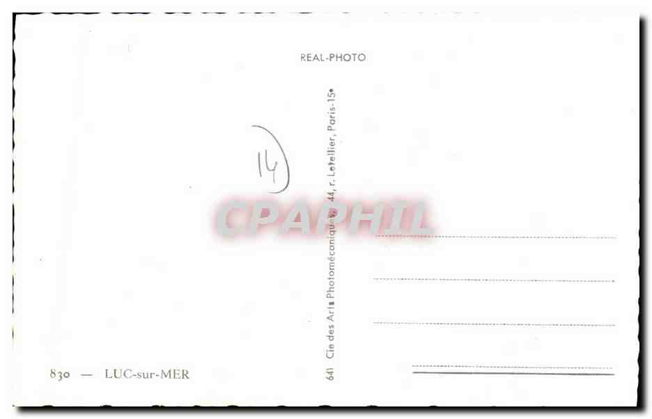 CPM Luc Sur Mer Baleine — Verso