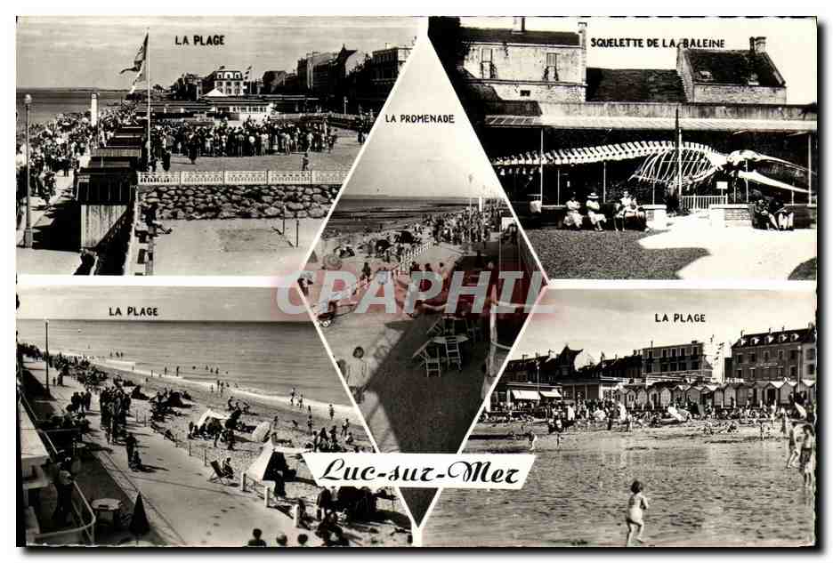 CPM Luc Sur Mer Souvenir Baleine
