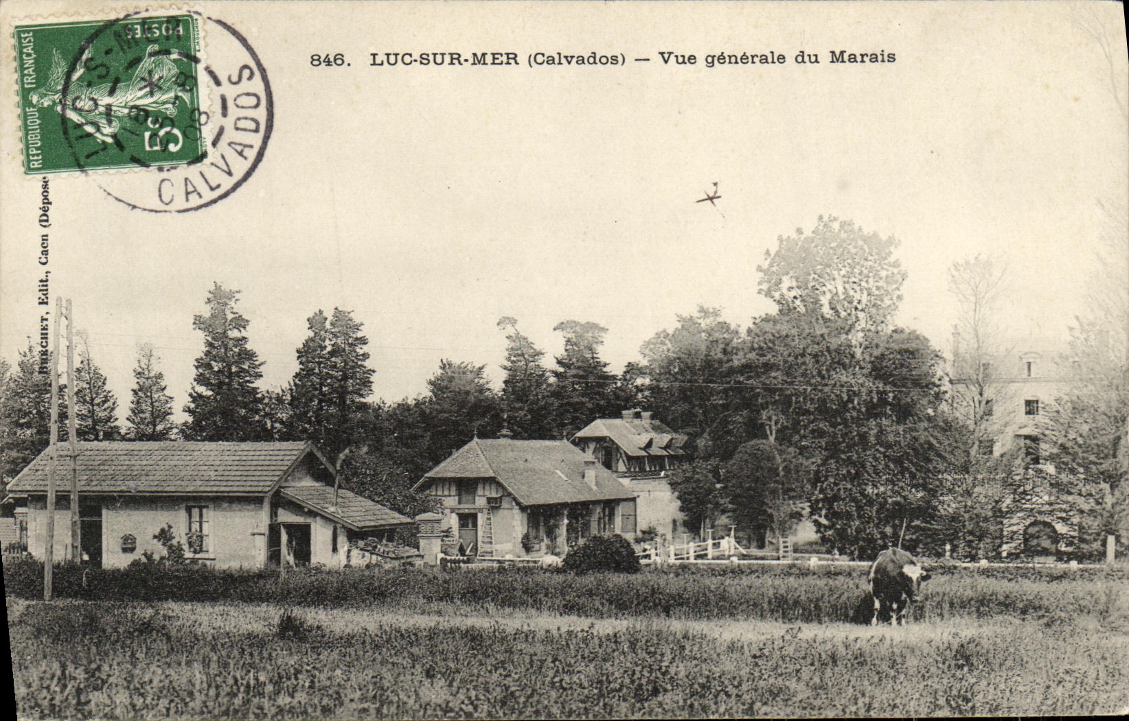CPA Luc Sur Mer Vue Generale du Marais Vache