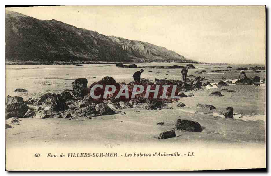 Env. de VILLERS-SUR-MER - Les Palais d'Auberville - LL