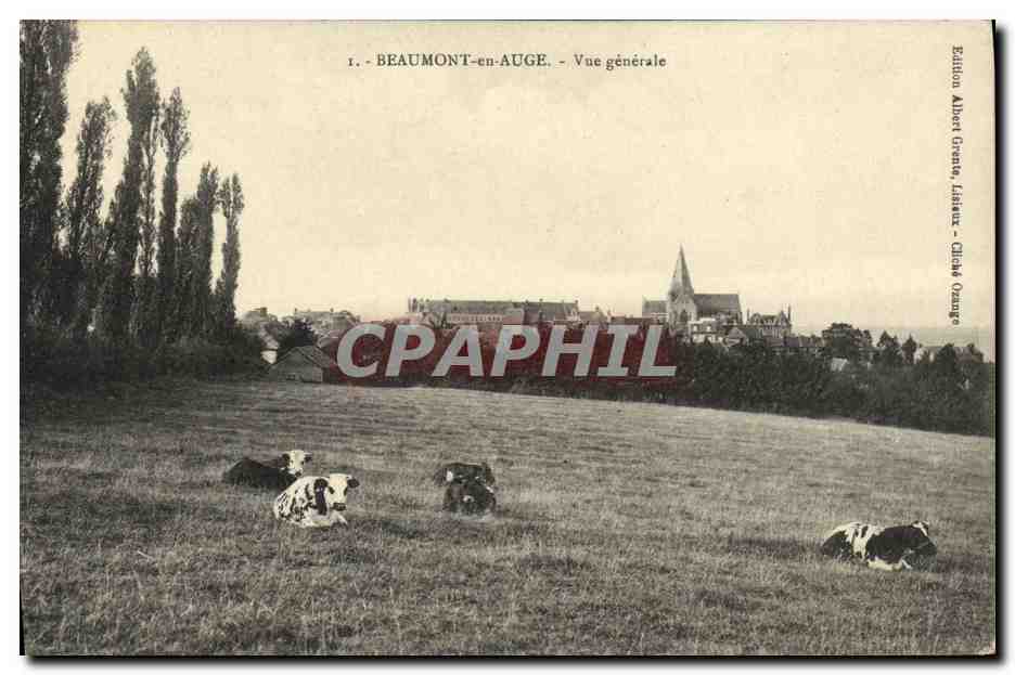 CPA Beaumont en Auge La Vue generale Vaches