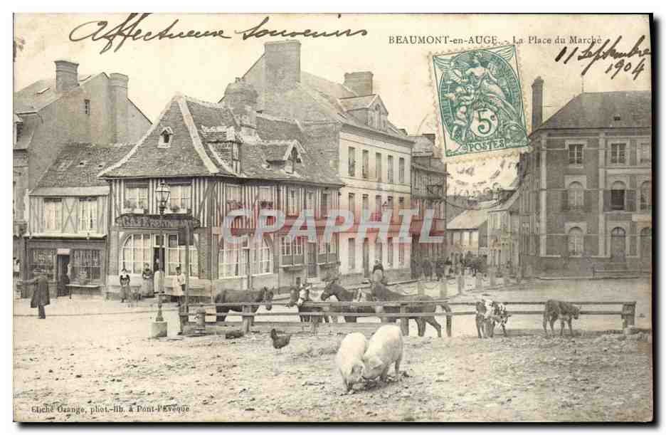 CPA Beaumont en Auge La Place du Marche Cochons chevaux 