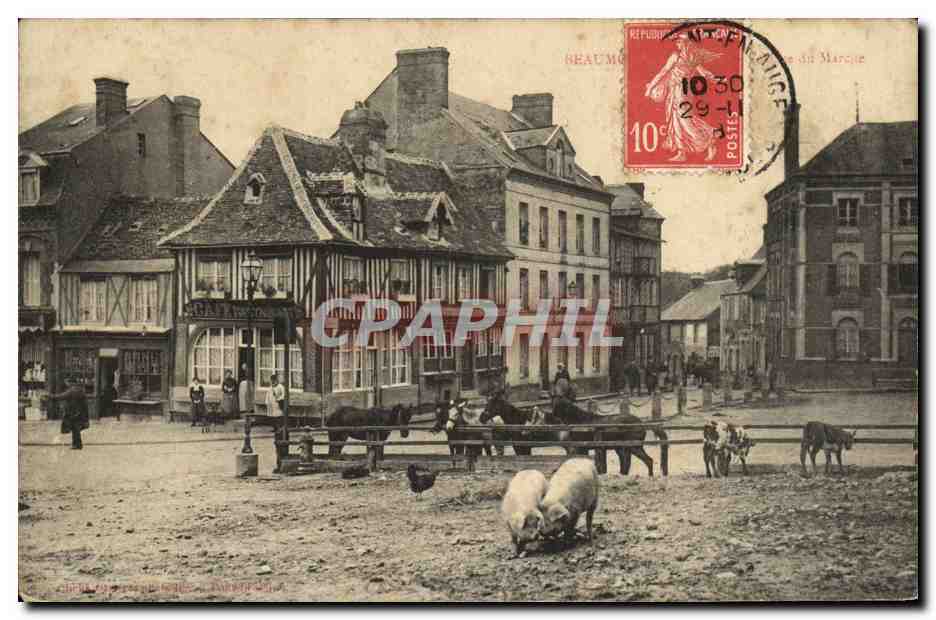 CPA Beaumont en Auge La Place du Marche Cochons chevaux 