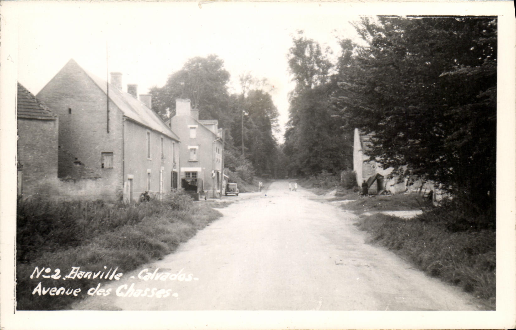 CPM Banneville Calvados Avenue des Chasses
