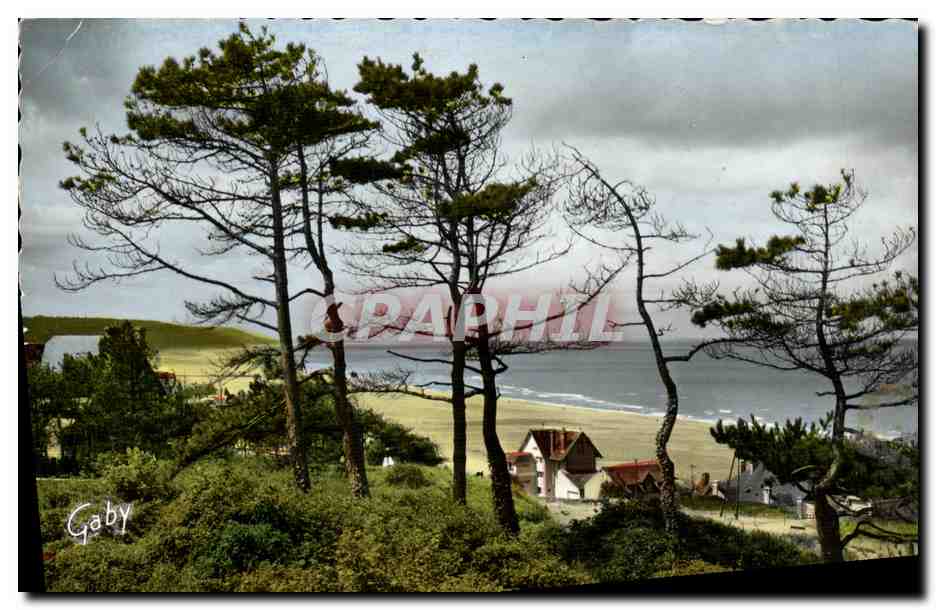 CPM Blonville sur Mer La Cote a travers les Sapins