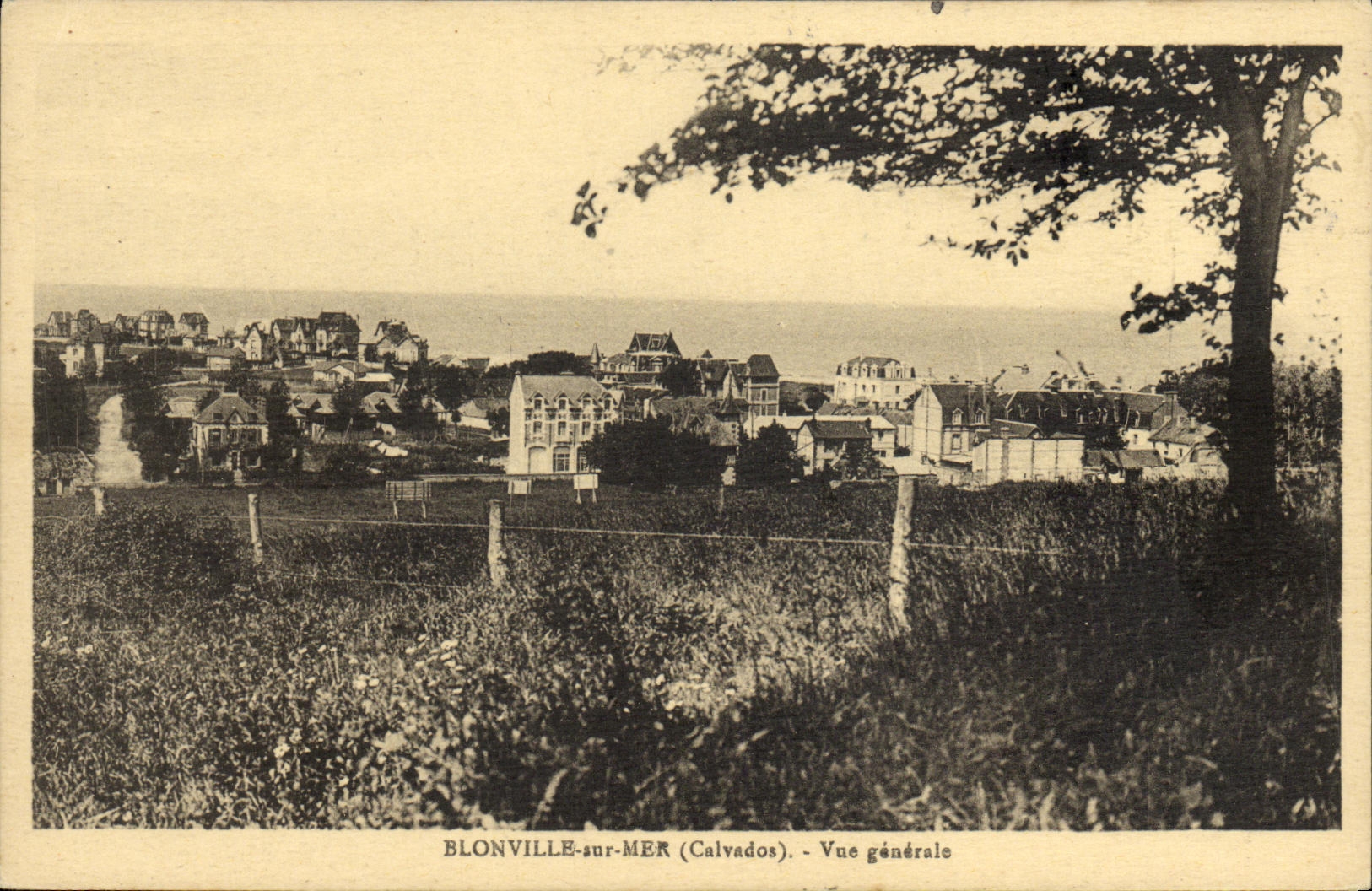 CPA Blonville sur Mer Vue generale