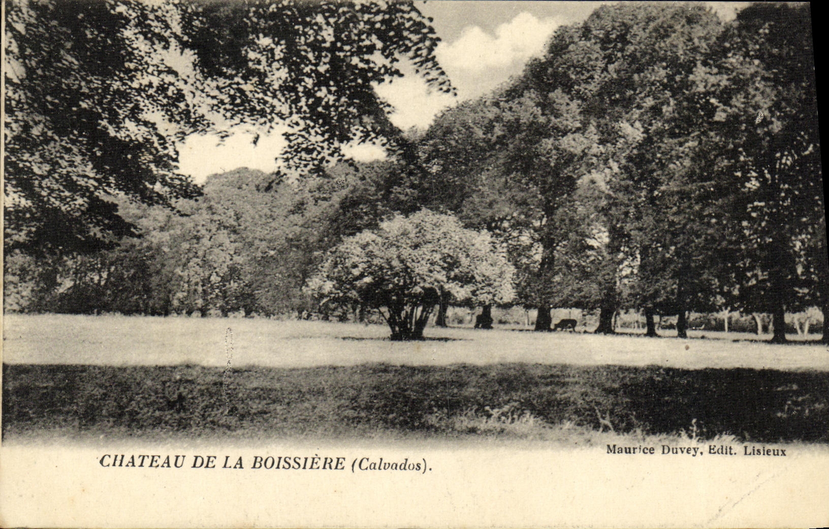Château de La Boissière (Calvados) — vue du parc — Maurice Duvey, Edit. Lisieux