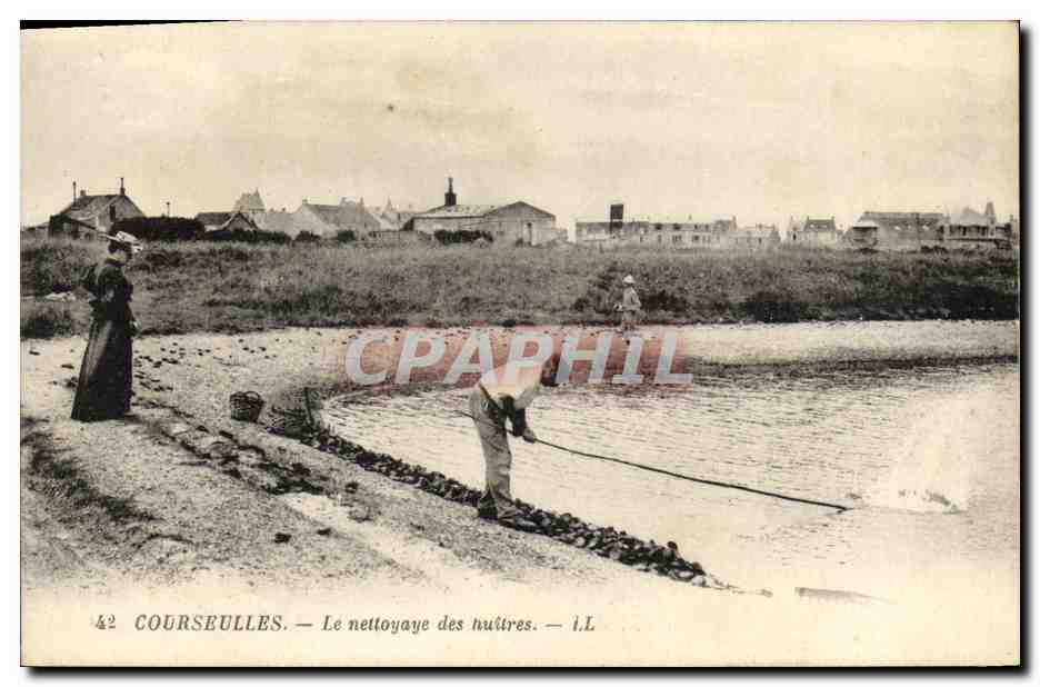 CPA Courseulles Le Nettoyage des huitres 