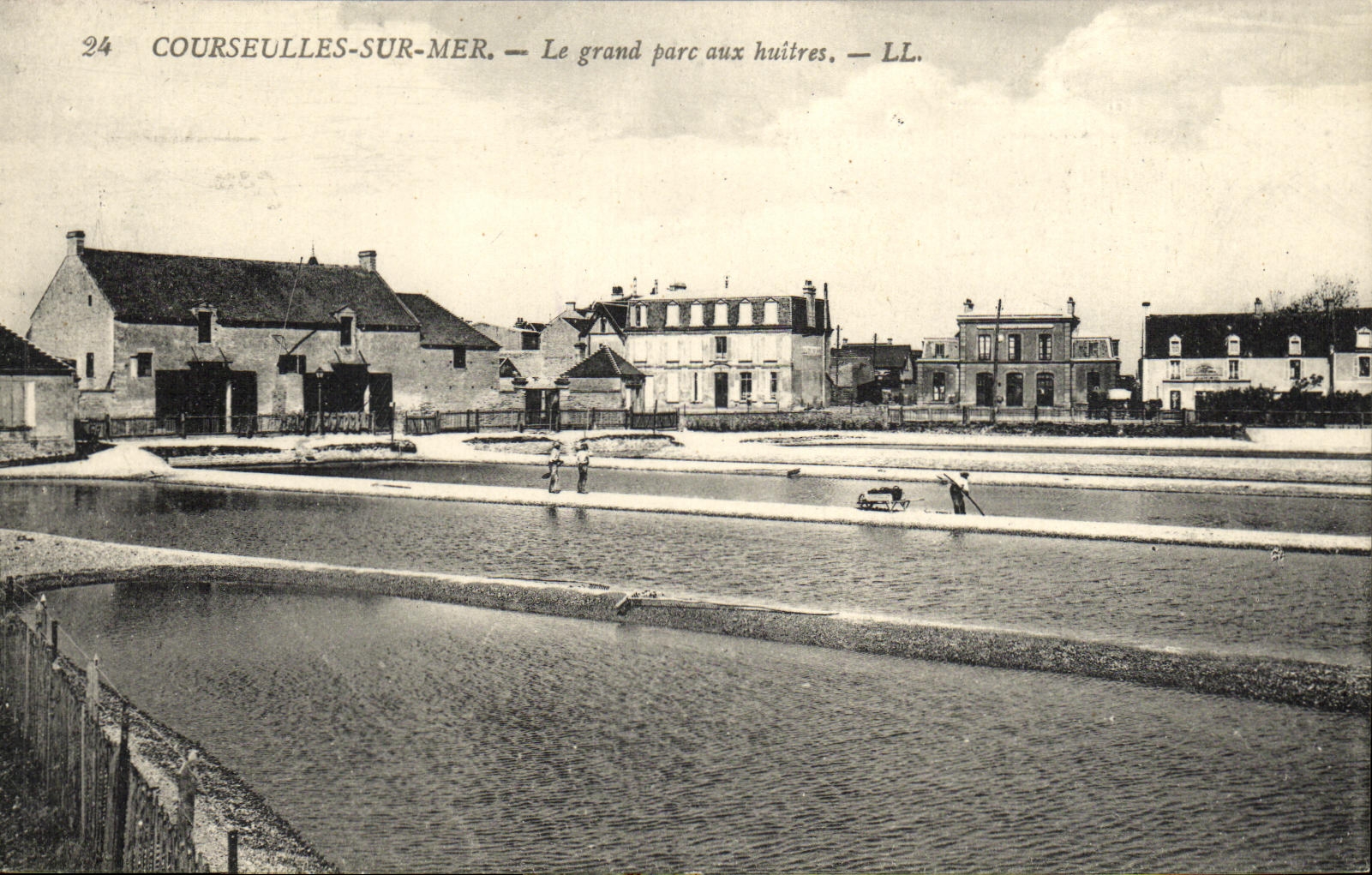 CPA Courseulles Sur Mer Le Grand Parc Aux huitres