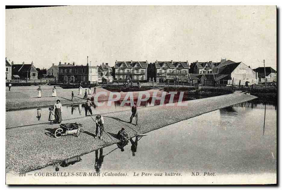 CPA Courseulles Sur Mer Le Parc Aux huitres 