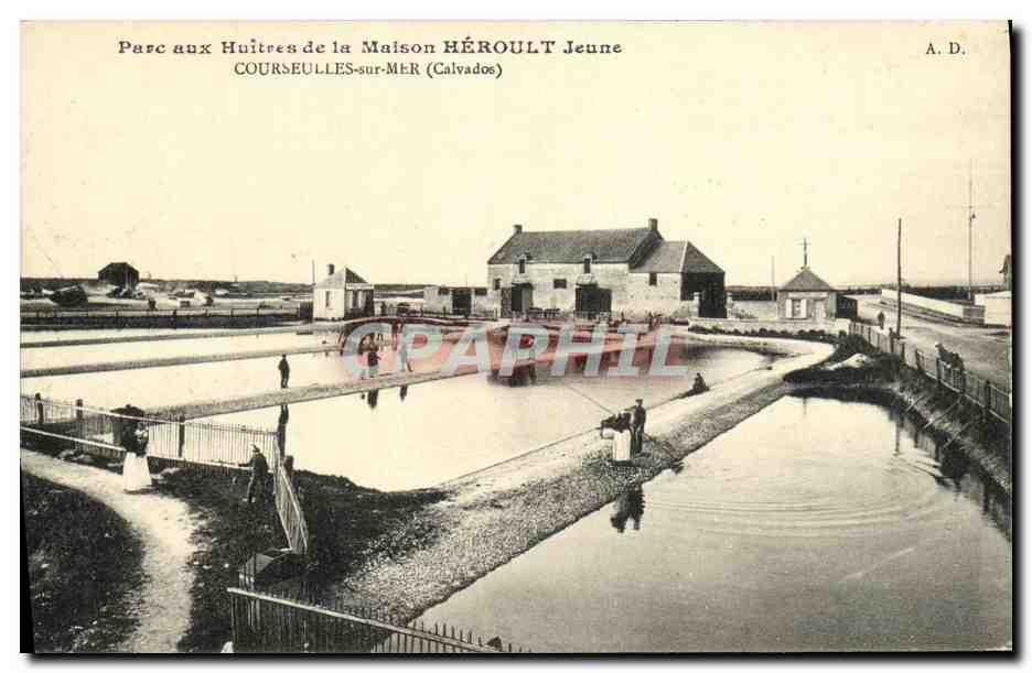 Parc aux Huîtres de la Maison HÉROULT Jeune — Courselles-sur-Mer (Calvados) — A. D.