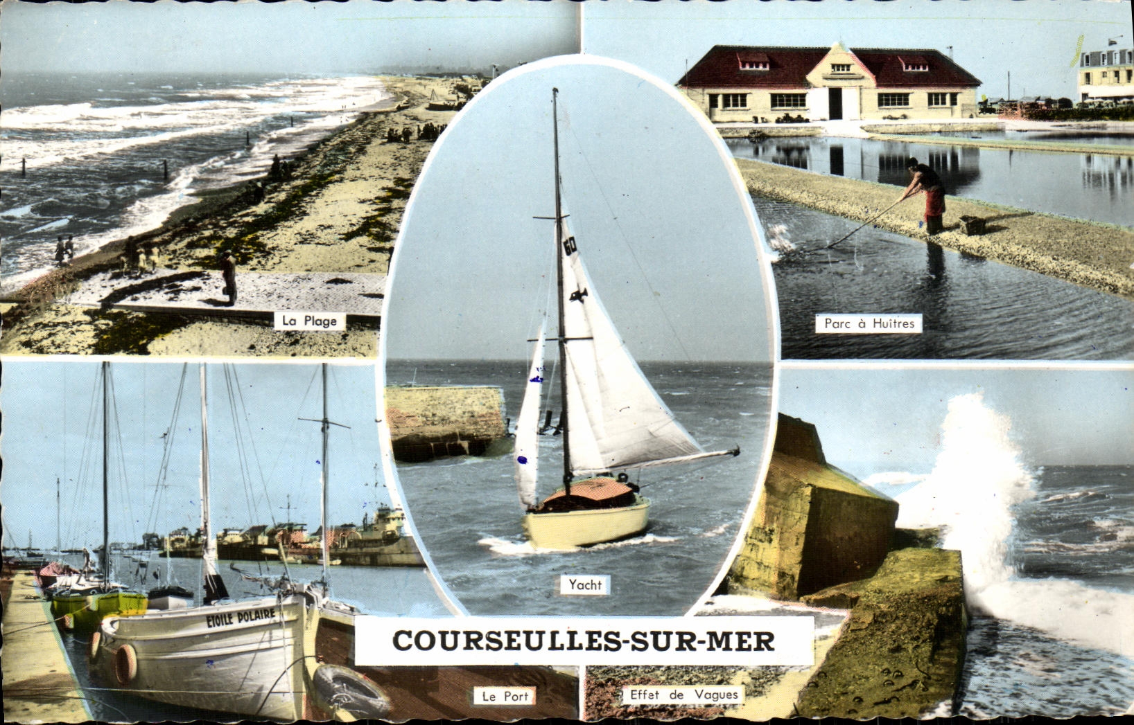 CPM Courseulles Sur Mer Parc a huitres 