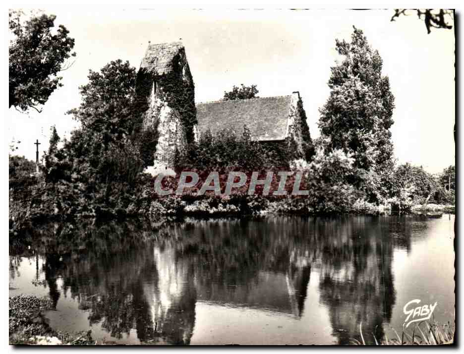 CPM La Mare de Cricqueboeuf pres Villerville sur Mer L Eglise aux Lierres 