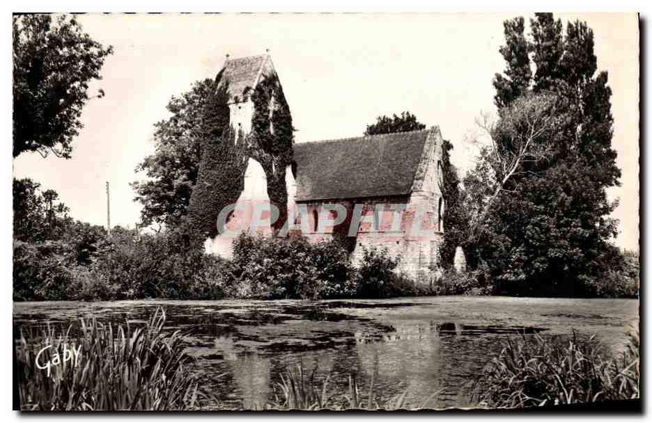 CPM Cricqueboeuf L Eglise aux Lierres