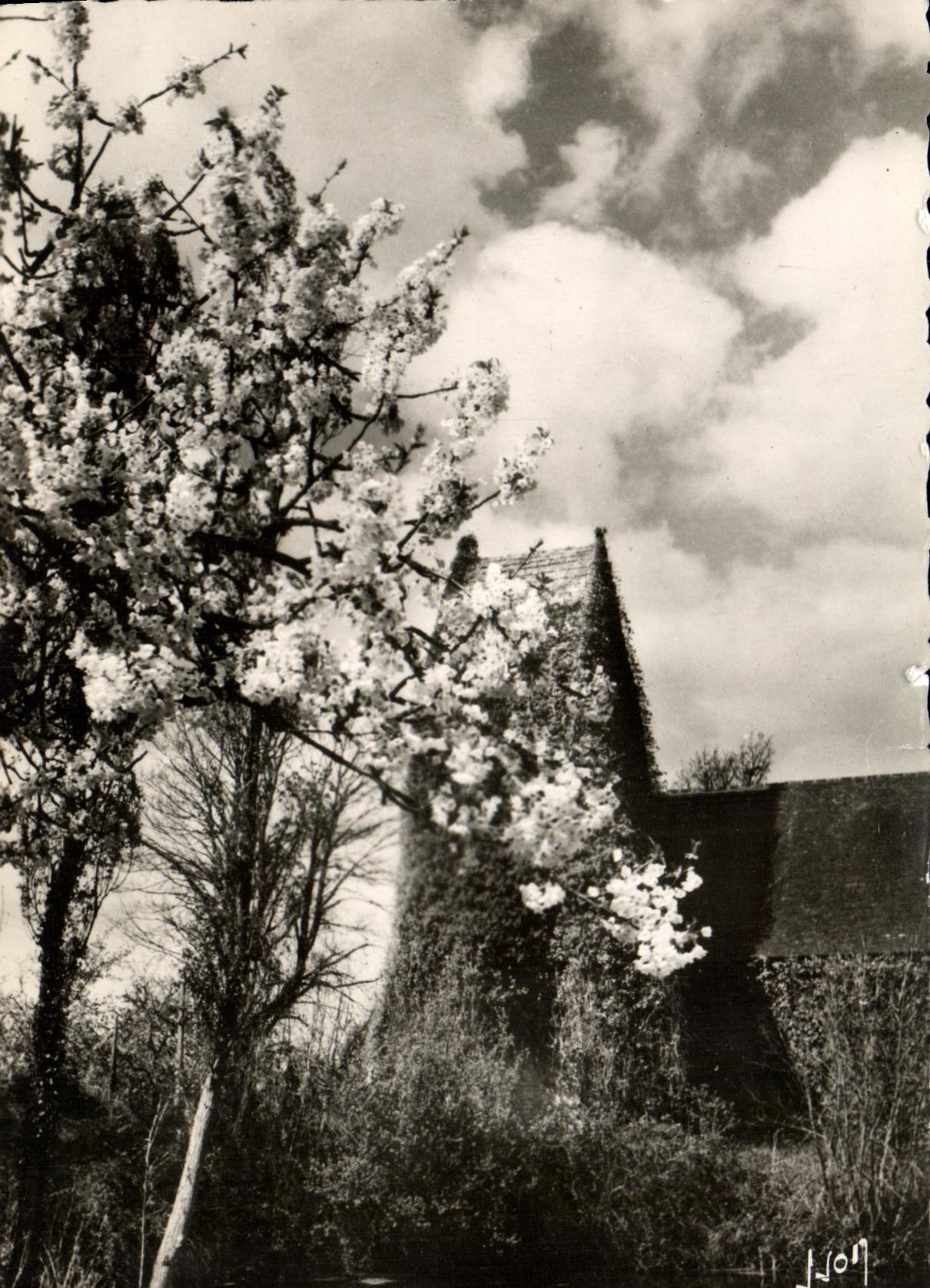 La vieille Église de CRIGUEBCEUF (Calvados) — En Normandie — Les Éditions d'Art YVCN, Paris