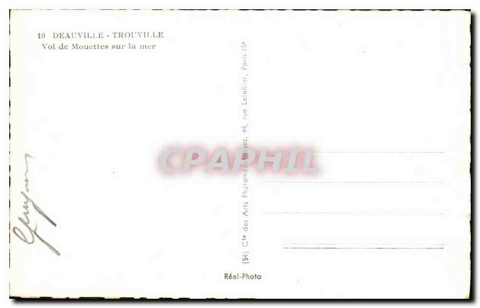 CPM Trouville Deauville Vol de mouettes sur la mer — Back