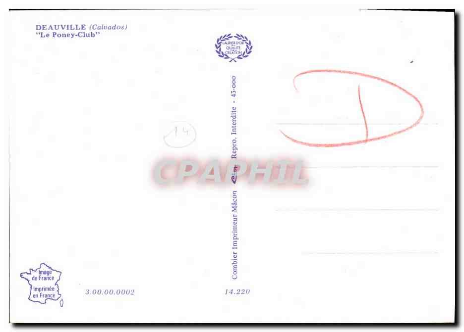 CPM Deauville Le poney club hippisme Chevaux — Verso
