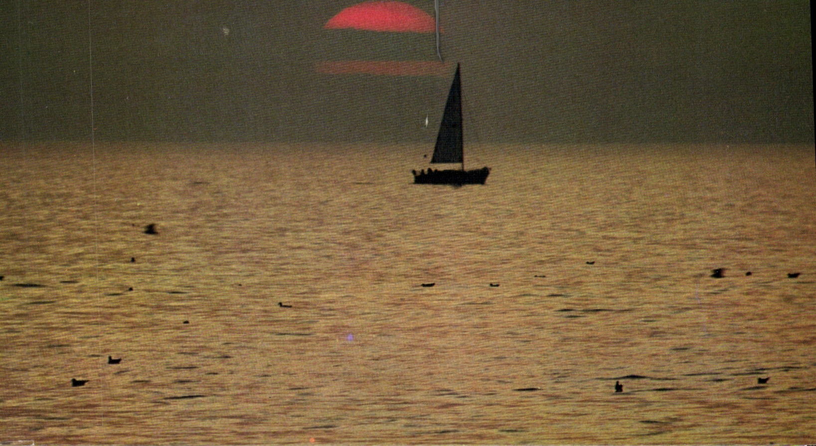 Coucher de soleil sur la Manche — Deauville (Calvados) — Lecagraphie M. Guilland, IRIS, n°140557