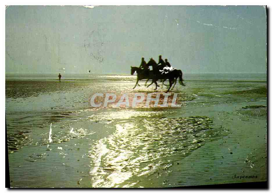 Cavaliers, effet de contre-jour — Deauville (Calvados) — Édition Sapromos