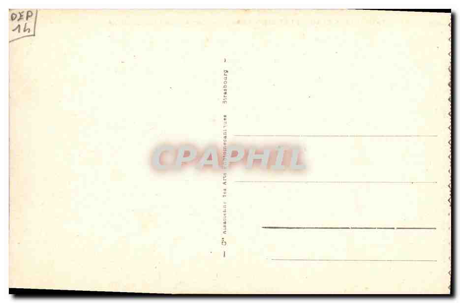 CPA Deauville la Plage Fleurie Champ de Courses de Clairefontaine Hippisme Chevaux — Verso