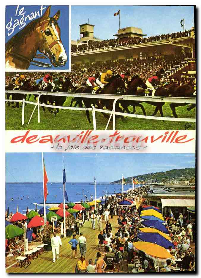 CPM Deauville Trouville la Joie des Vacances Courses hippiques Cheval Hippisme