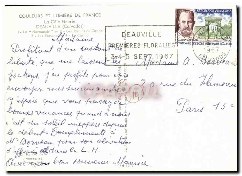 CPM Couleurs et Lumiere de France La cote Fleurie Deauville  — Verso