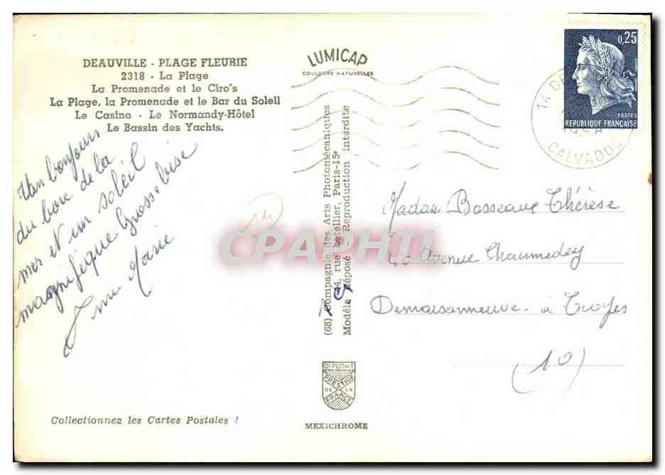 CPM Deauville Plage Fleurie La Plage — Verso