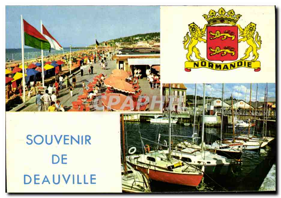 CPM Souvenir de Deauville Les planches Bassin des yachts Lions