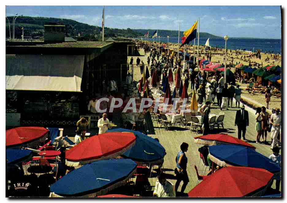 Deauville (14) — Plage fleurie — IRIS