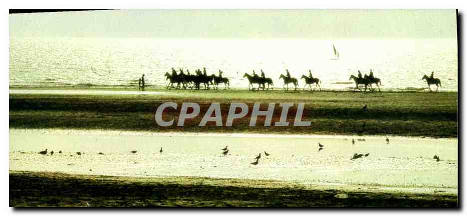 CPM Deauville Promenade equestre sur la Plage Chevaux 