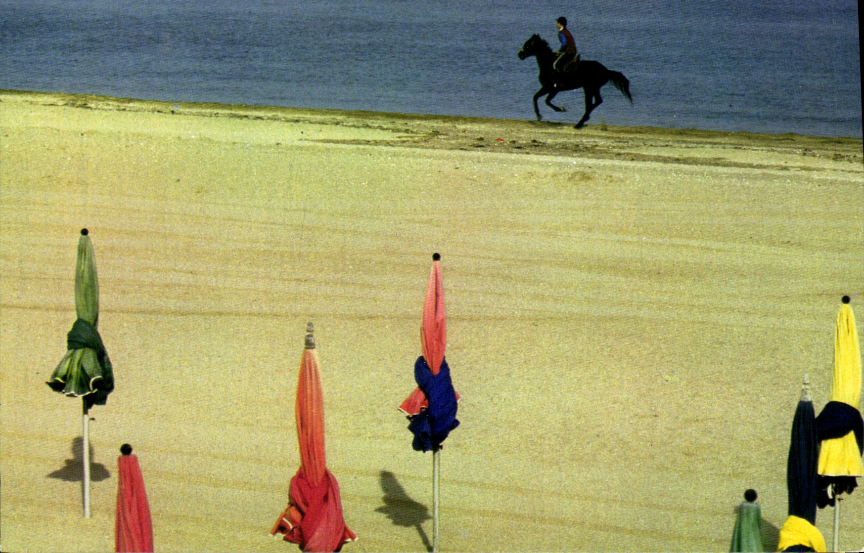 CPM Deauville Entrainement sur le bord de mer Cheval 