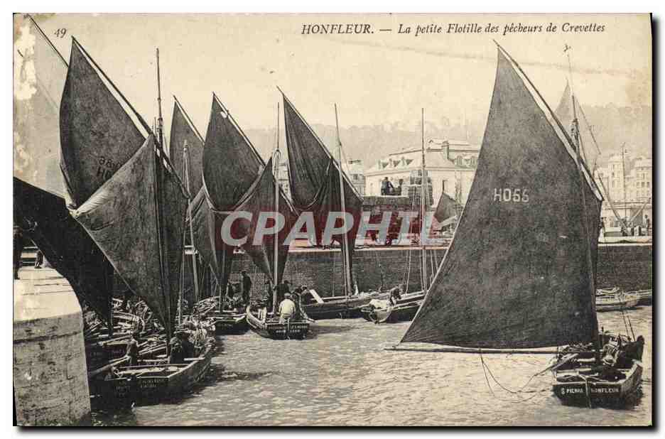 HONFLEUR — La petite Flotille des pêcheurs de Crevettes — Éditeur : S. PIERA