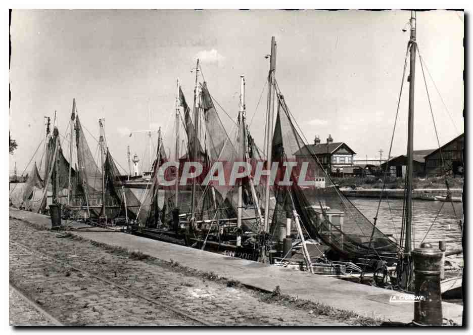 CPM Honfleur Bateau de Peche a quai Bateaux