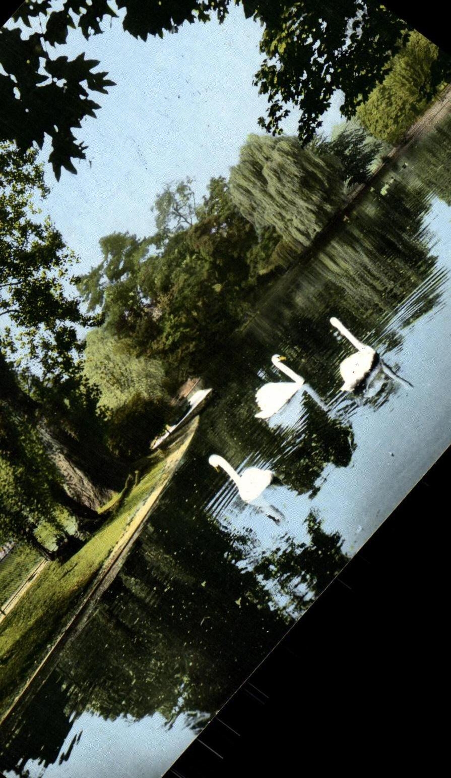 Paris - Bois de Boulogne — Un coin du Lac du Jardin d'Acclimatation — Éditions d'Art Avon