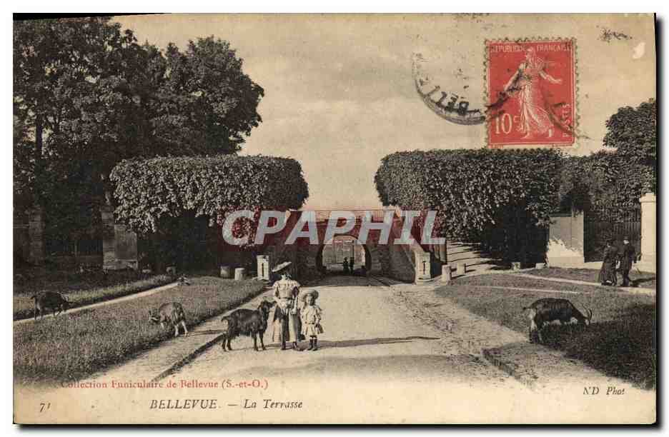 CPA Bellevue La Terrasse Enfants Chevres Chevre bouc