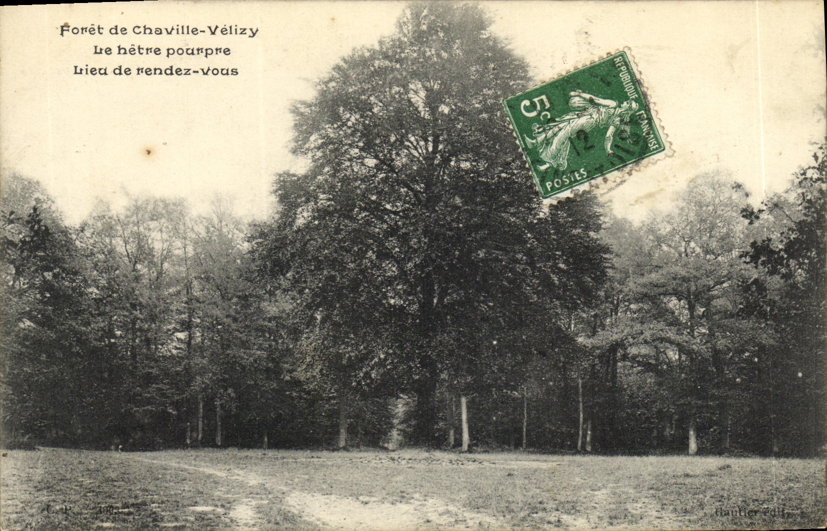 CPA Foret de Chaville Velizy Le hetre pourpre Lieu de rendez vous
