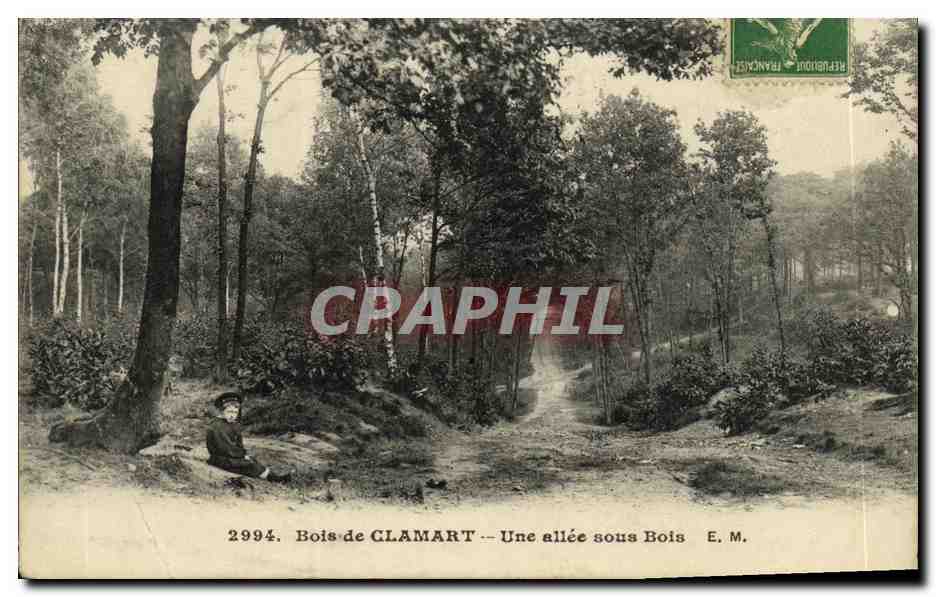 CPA Bois de Clamart Une allee sous Bois Enfant